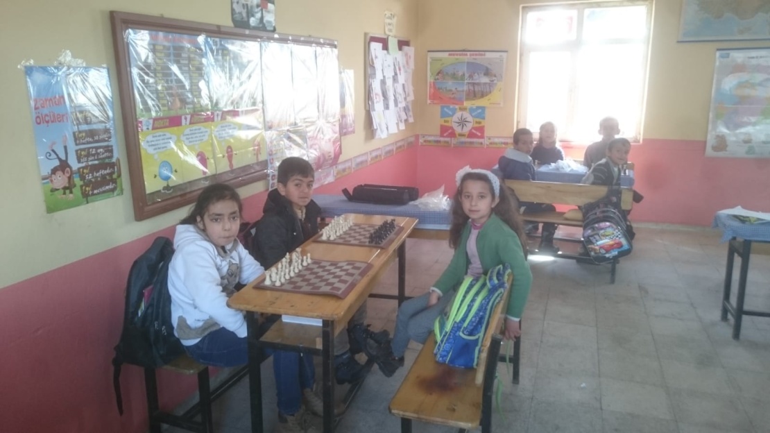 Tellikaya İlkokulu / Van